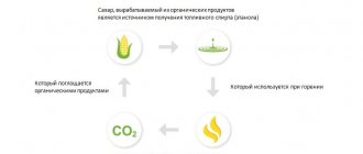 Екологичен продукт, биогориво.