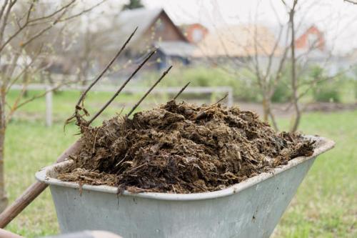 Comment chauffer une serre en hiver de vos propres mains. Comment transformer une serre en serre