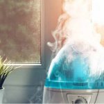 Comment choisir un humidificateur: décider lequel est le meilleur