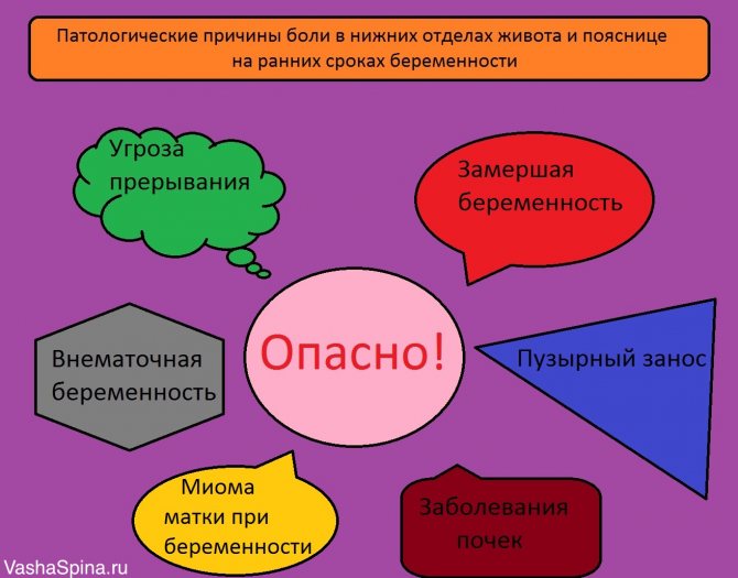 Долната част на гърба и долната част на корема болят по време на бременност