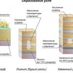 Образуване на въглища