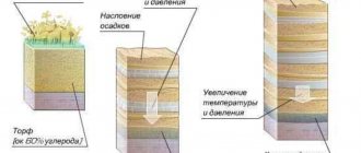 Образуване на въглища