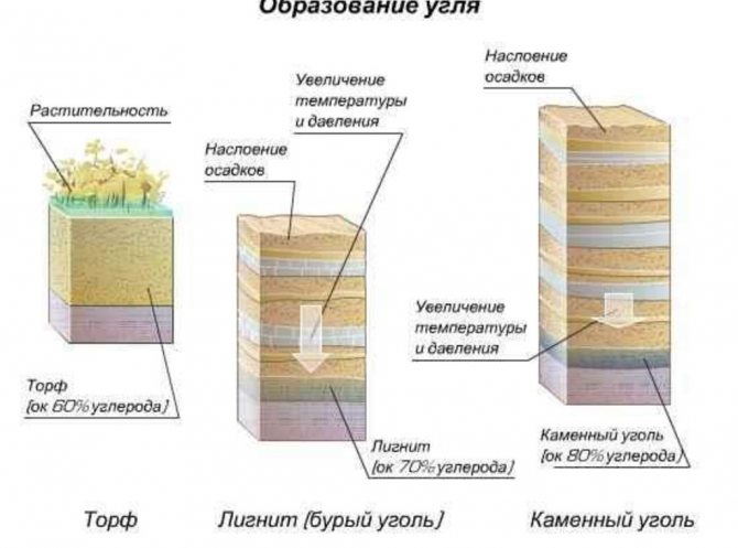 Образуване на въглища