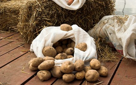 Aménagement des bouches d'aération au sous-sol d'un immeuble résidentiel selon SNiP