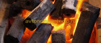 processus de combustion de briquettes de bois pressées